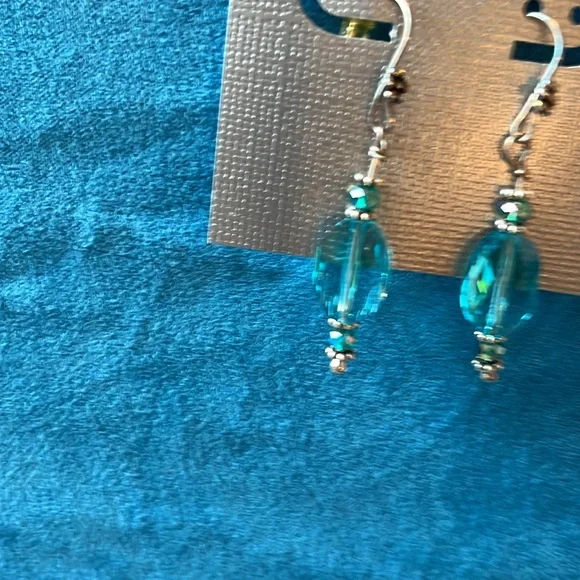 Elegant Aqua and Silver Earrings - Picture 2 of 3
